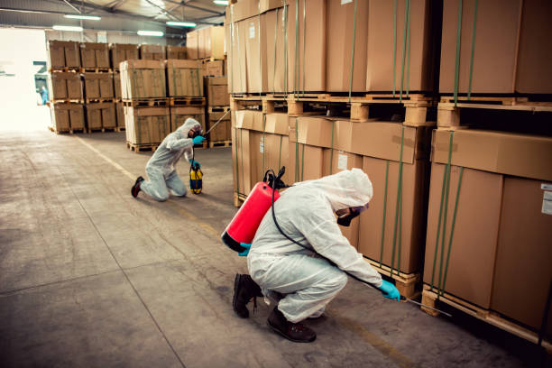 Best Flea Control Services  in Derwood, MD