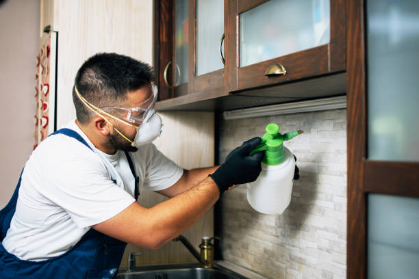 Best Best Pest Control Companies  in Derwood, MD