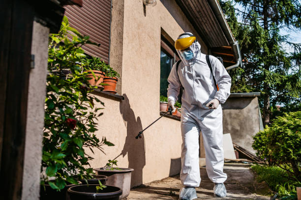 Trusted Derwood, MD Pest Control Experts