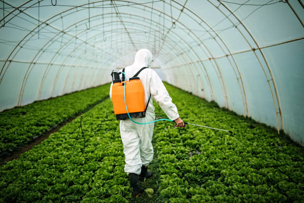 Best Emergency Pest Control  in Derwood, MD