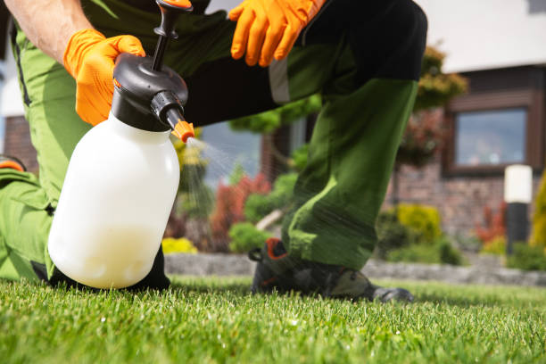 Best Pest Prevention Services  in Derwood, MD