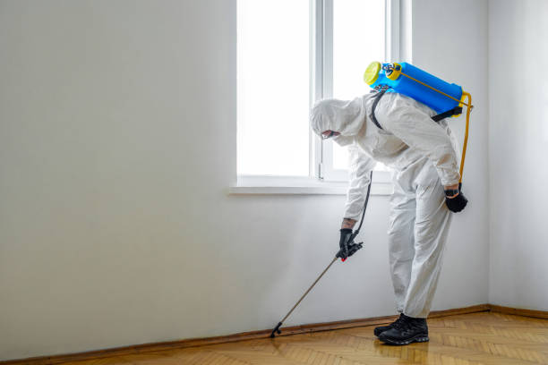 Best Pest Control Near Me  in Derwood, MD