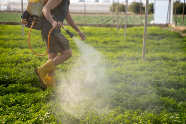 Best Best Pest Control Companies  in Derwood, MD