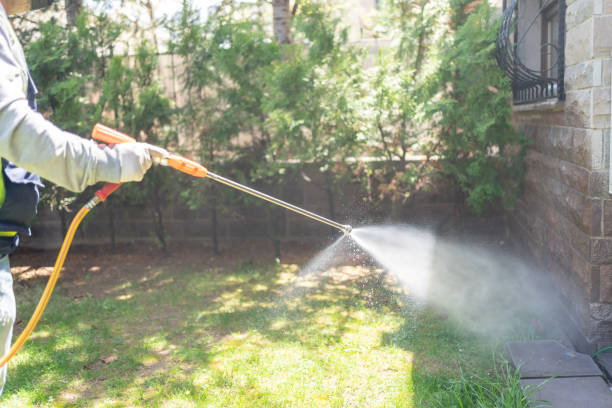 Best Termite Control Services  in Derwood, MD