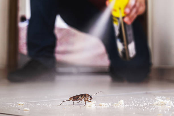 Best Bed Bug Extermination  in Derwood, MD