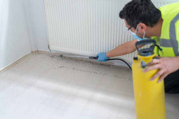 Best Cockroach Control Services  in Derwood, MD